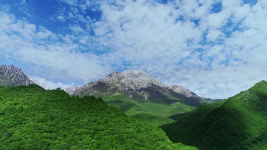 航拍茂密的植被,绿水青山