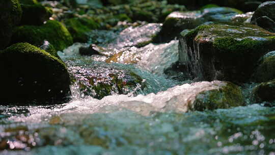 森林溪水流水花清澈山泉青苔藓小溪泉水