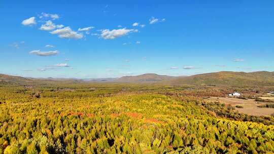 秋季航拍茫茫林海五颜六色240916-32