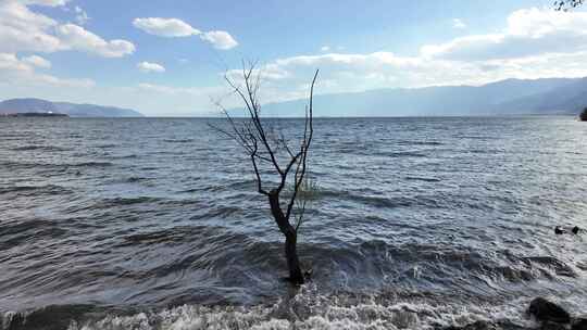 苍山洱海湖边