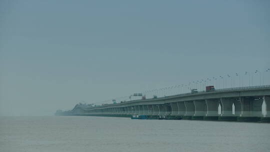 海鸥 海边 海上大桥视频素材模板下载