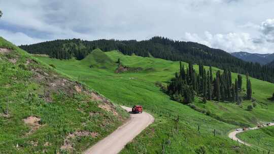 汽车行驶在新疆伊犁巩留县恰西国家森林公园