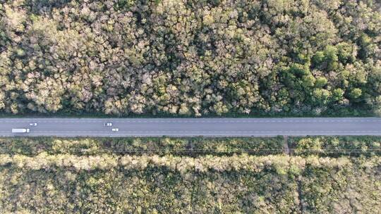 墨西哥墨西哥城道路俯视航拍