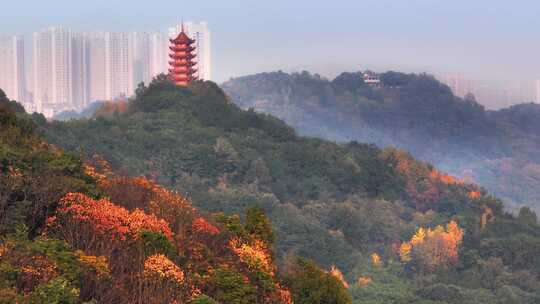 重庆渝北大竹林红叶照母山森林公园航拍