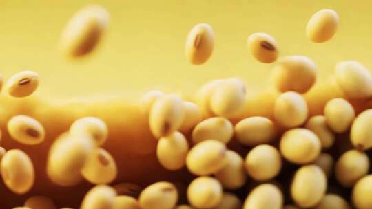 黄豆洒落微距特写素材