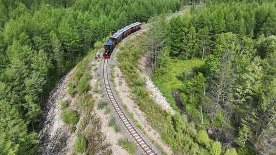 森林生态旅游观光小火车