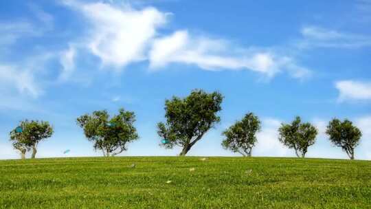 蓝天白云下的树木草地延时拍摄