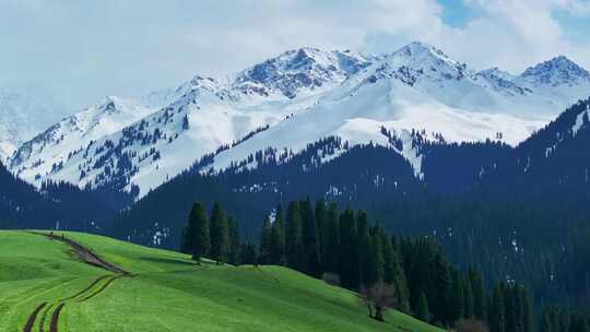 航拍草原雪山森林大自然风景