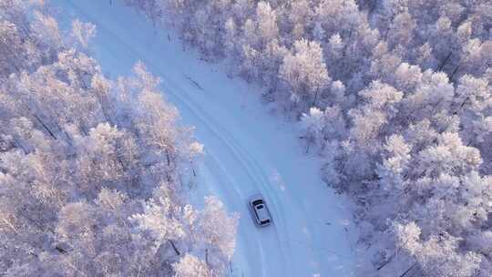 汽车在林海雪原雪森林中穿行250106-2