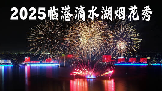 2025新年上海临港滴水湖烟花表演