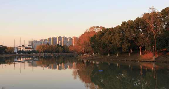 阳光湖水树林美丽冬天城市湿地公园生态风光