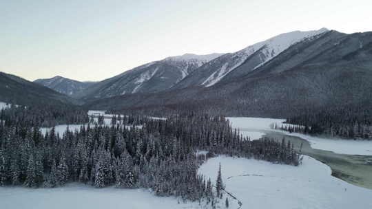 雪山森林冬季自然景观航拍