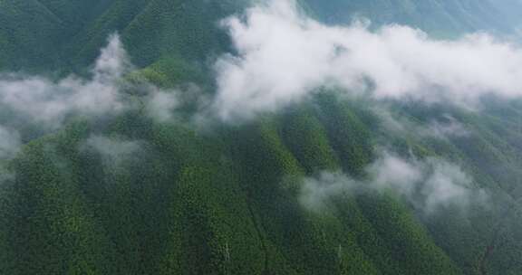 浙江安吉江南竹海高山云海航拍