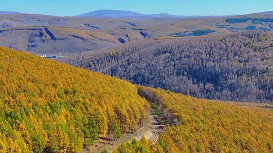 4k航拍内蒙古大兴安岭山