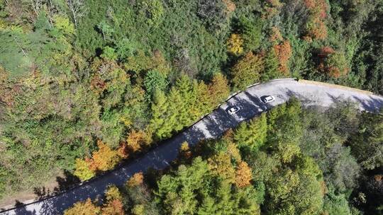 4K航拍重庆唯美光雾山风景区