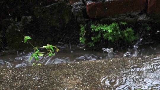 下雨天升格雨水怕打地面流出屋檐空镜视频