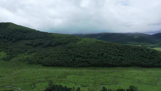 【航拍】草原风景 坝上草原 草原天路