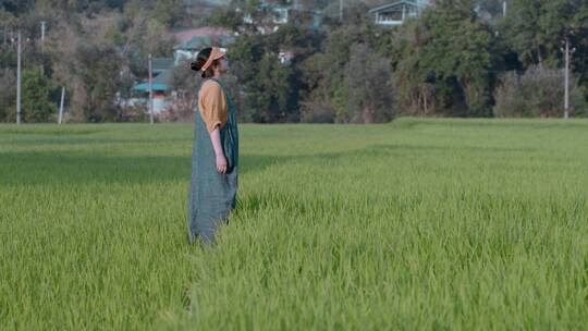 乡村稻田视频夏季青绿色稻谷里散步的女子