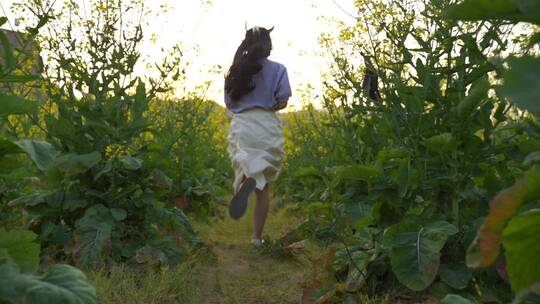 美女油菜花田里奔跑背影田野菜园奔跑背影