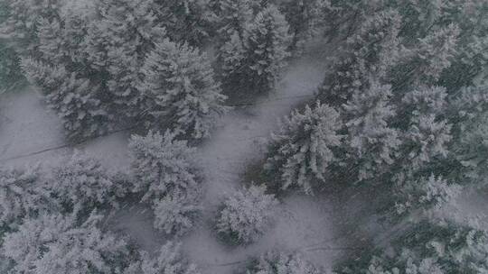 祁连山国家公园雪景