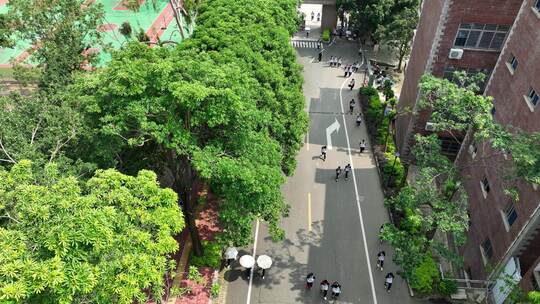 学校道路俯拍校园航拍学生上课上学校园风光视频素材模板下载