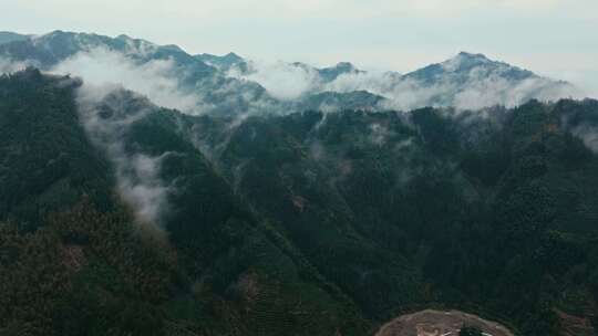 黄山毛峰茶园茶山茶文化航拍