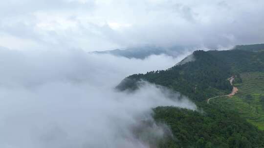 震撼高山云海航拍（福州鼓岭）3