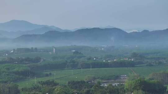 海南白沙茶园清晨平流雾航拍