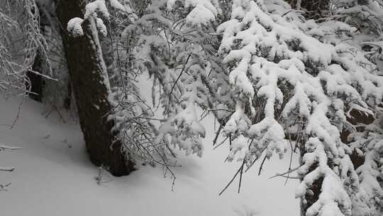 贺兰山金顶雪景视频 (35)