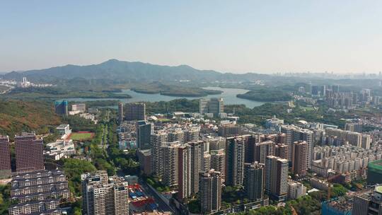 深圳西丽水库大景