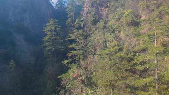 安徽黄山风景视频素材