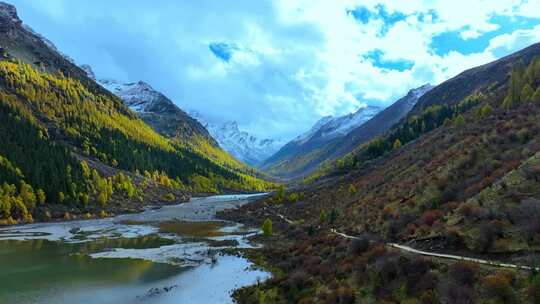 雪山下多彩树林的壮丽景观