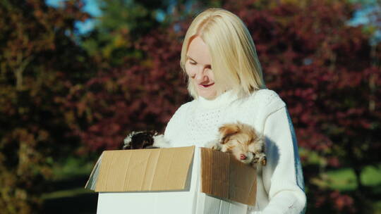 抱着小狗盒子的女人