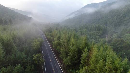 吉林通化长白山人参森林道路航拍