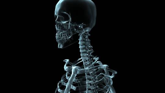 旋转的3D人体骨骼医学动画视频素材模板下载