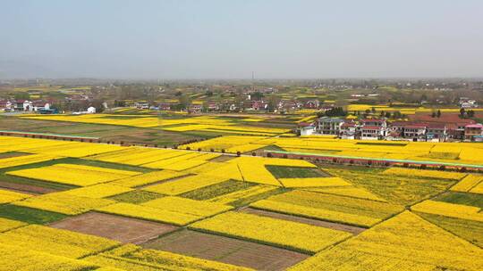 陕西汉中油菜花皇塘景区风光