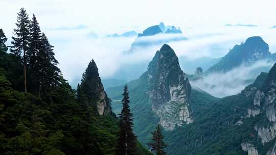 云雾缭绕的山林风景