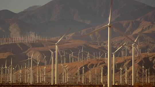 现代风力发电厂