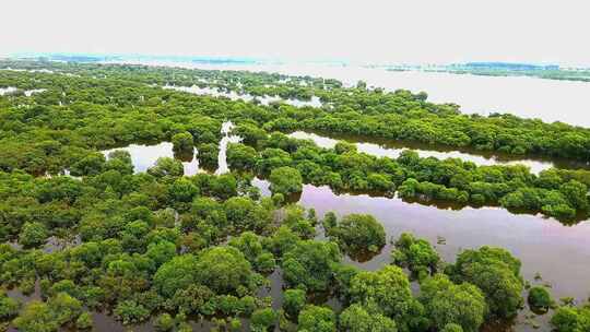 航拍饶河南湖湿地风光