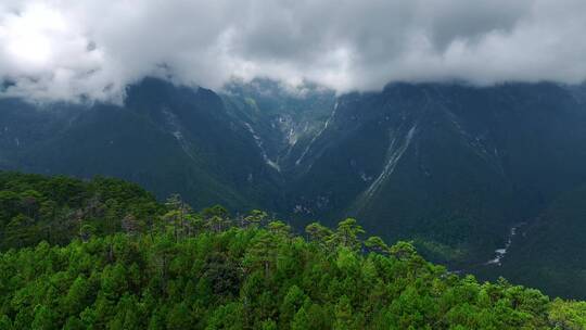 航拍大山茂密的森林