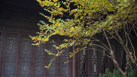 杭州宝石山玛瑙寺连横纪念馆