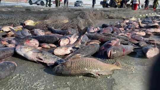 冰封湖面上的传统捕鱼