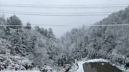 林海雪景实拍慢动作