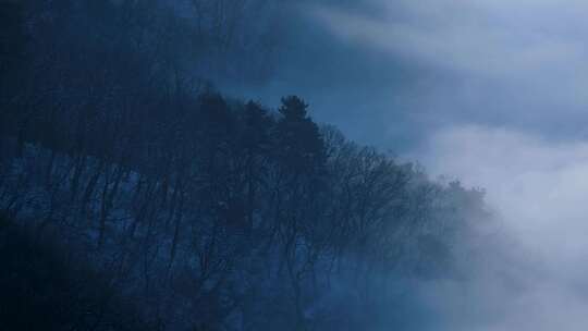 冬季山间树木云雾云海
