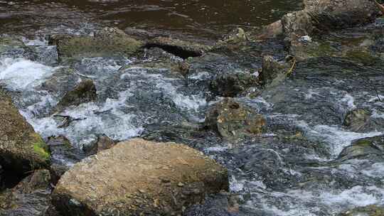 大山里的小溪河流石头水花唯美生态慢镜头