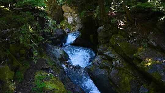 山泉水溪流优质水源矿泉水河流山涧溪流水