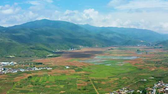 湿地公园 大理宾川