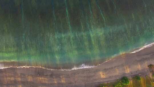 航拍高空飞越棕榈树和热带海滩