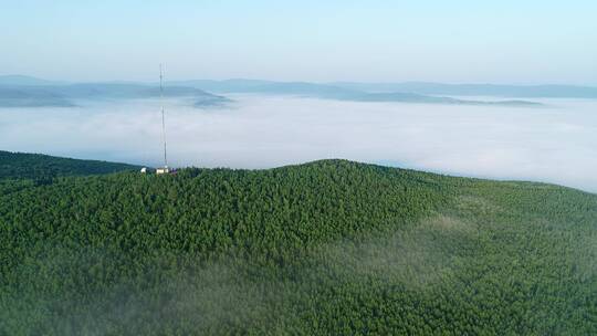 航拍大兴安岭山岭林海云雾