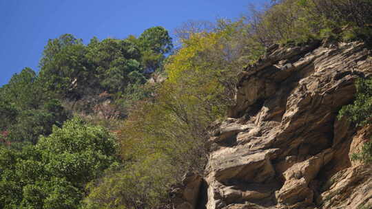 秦岭秋季风景